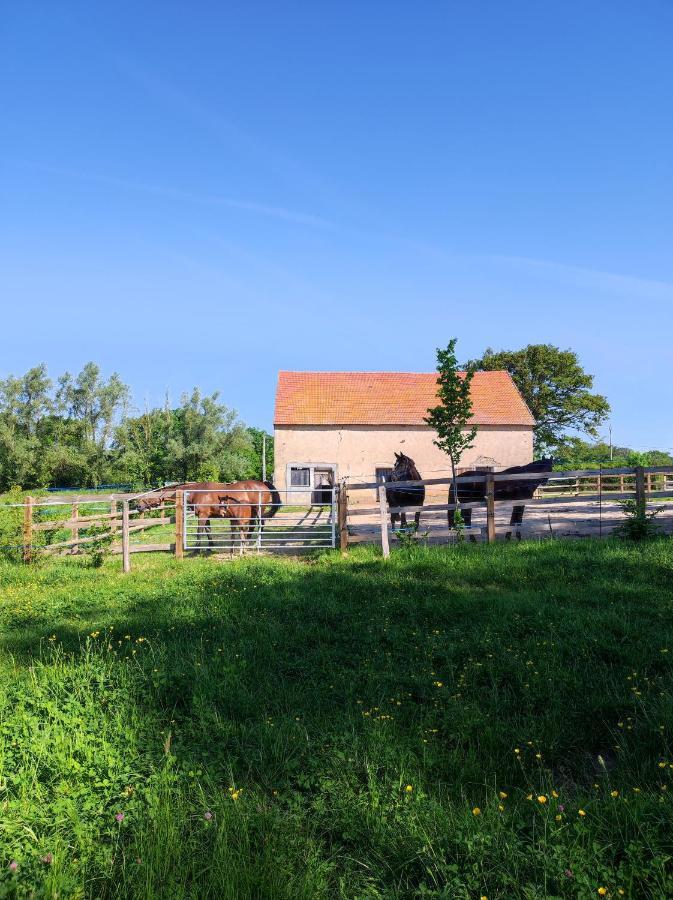 Vila Bienvenue A La Grenouillere Le Magny  Exteriér fotografie